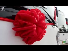 7m Zev バス 電動 16人乗りミニバス 都市交通用 急速充電Eバス